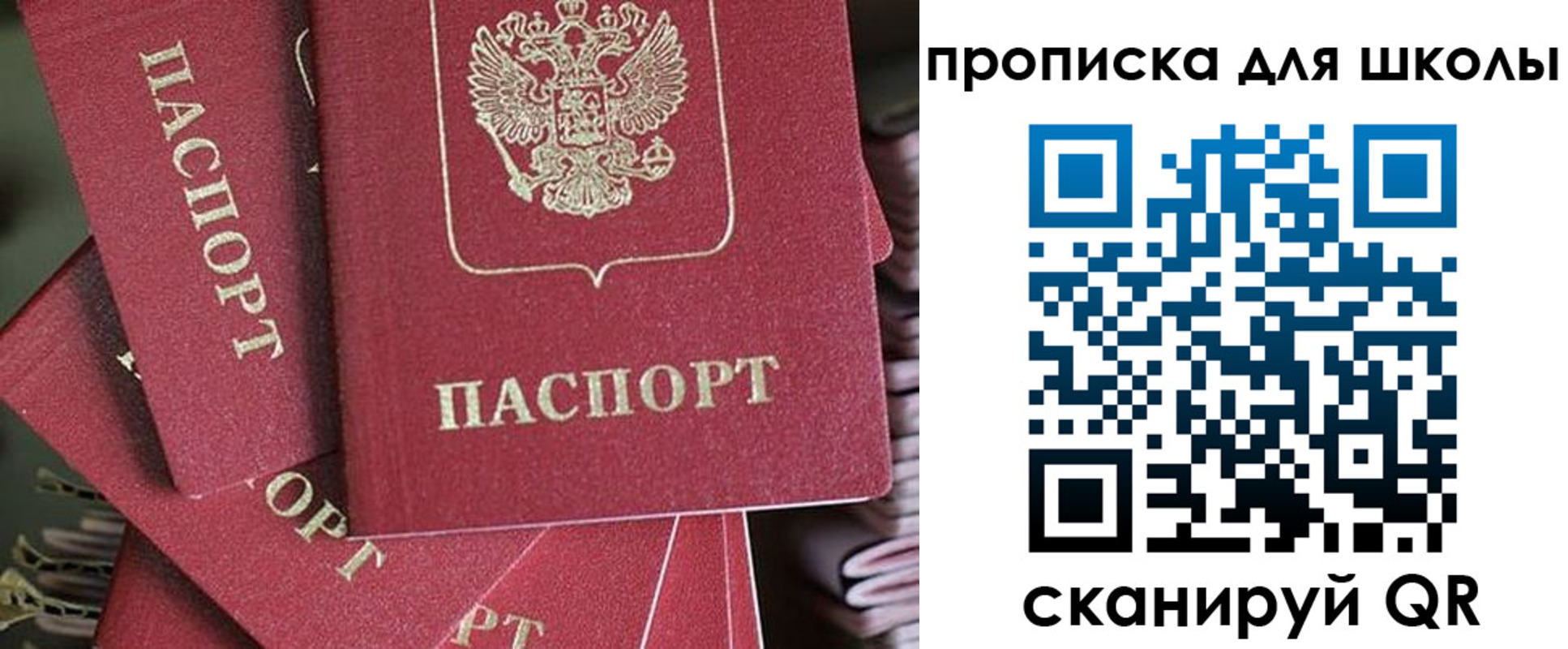 прописка для школы в Бердске